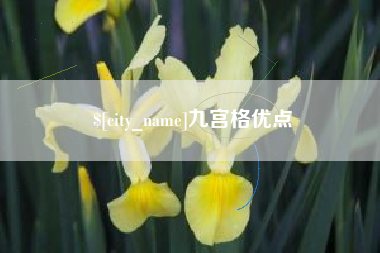 恩施九宫格优点