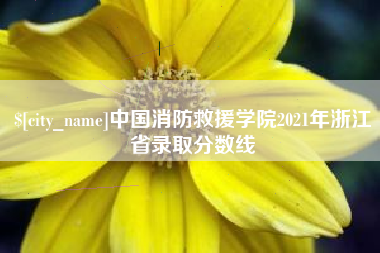 恩施中国消防救援学院2021年浙江省录取分数线