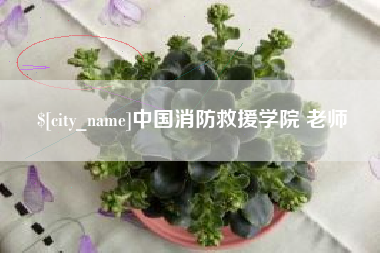 恩施中国消防救援学院 老师