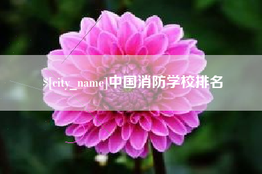 恩施中国消防学校排名