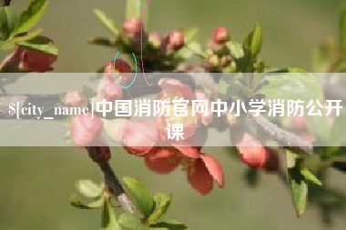恩施中国消防官网中小学消防公开课
