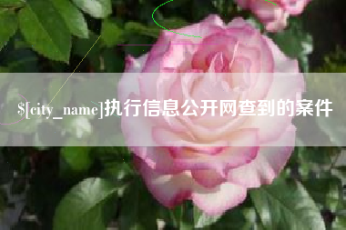 恩施执行信息公开网查到的案件
