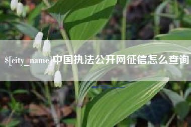 恩施中国执法公开网征信怎么查询