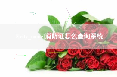 恩施消防证怎么查询系统
