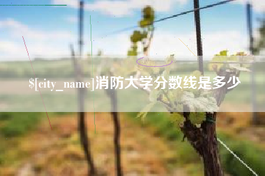 恩施消防大学分数线是多少