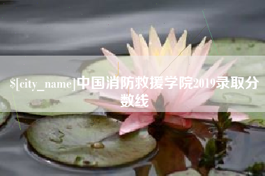恩施中国消防救援学院2019录取分数线