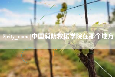 恩施中国消防救援学院在那个地方