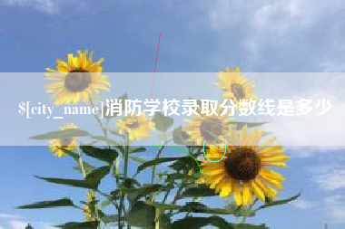 恩施消防学校录取分数线是多少
