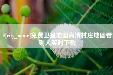 恩施免费卫星地图高清村庄地图看到人实时下载