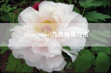 恩施九宫排盘方法