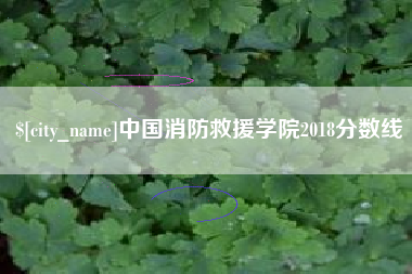 恩施中国消防救援学院2018分数线