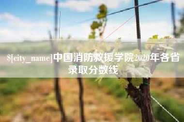 恩施中国消防救援学院2020年各省录取分数线