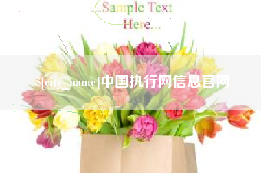 恩施中国执行网信息官网