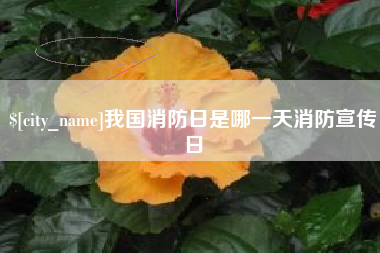 恩施我国消防日是哪一天消防宣传日