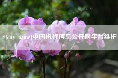 恩施中国执行信息公开网平台维护