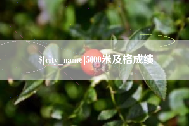 恩施5000米及格成绩