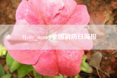 恩施全国消防日海报
