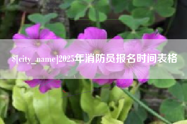 恩施2025年消防员报名时间表格