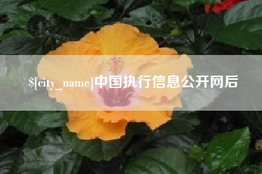 恩施中国执行信息公开网后