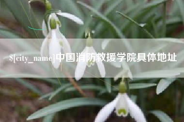 恩施中国消防救援学院具体地址