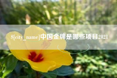 恩施中国金牌是哪些项目2021