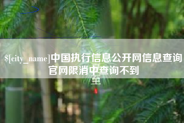 恩施中国执行信息公开网信息查询官网限消中查询不到