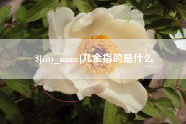 恩施九金指的是什么
