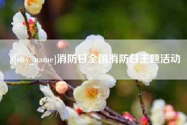 恩施消防日全国消防日主题活动