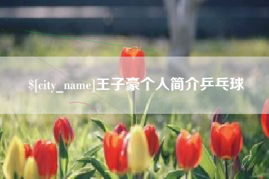恩施王子豪个人简介乒乓球