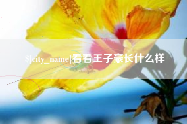 恩施看看王子豪长什么样