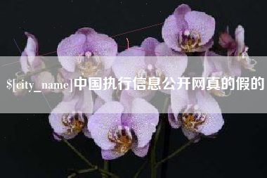 恩施中国执行信息公开网真的假的