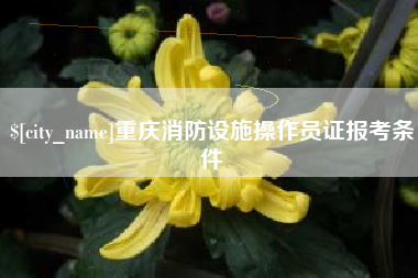 恩施重庆消防设施操作员证报考条件