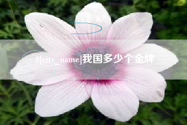 恩施我国多少个金牌