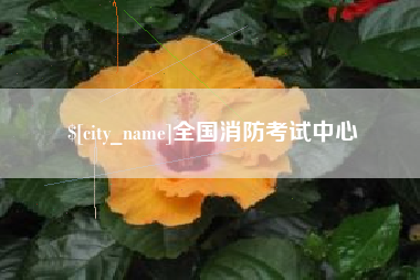 恩施全国消防考试中心