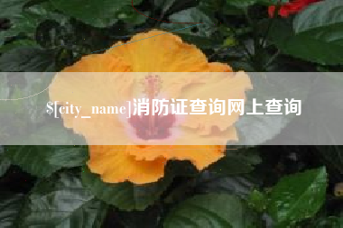 恩施消防证查询网上查询