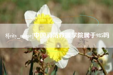 恩施中国消防救援学院属于985吗