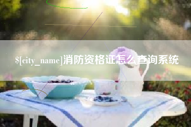 恩施消防资格证怎么查询系统