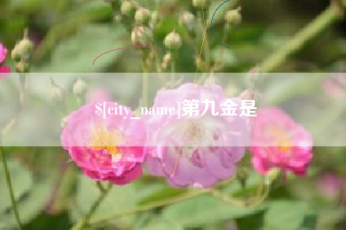 恩施第九金是