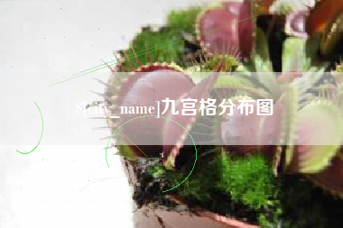 恩施九宫格分布图