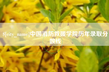 恩施中国消防救援学院历年录取分数线