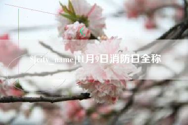 恩施11月9日消防日全称