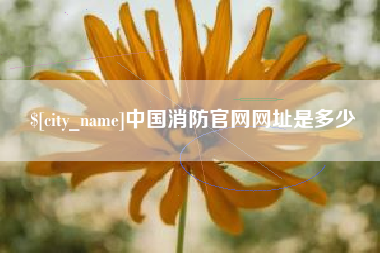 恩施中国消防官网网址是多少