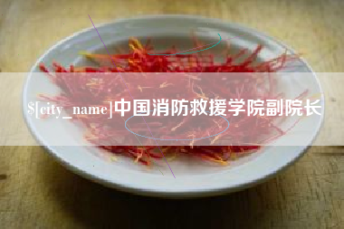 恩施中国消防救援学院副院长
