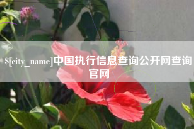 恩施中国执行信息查询公开网查询官网