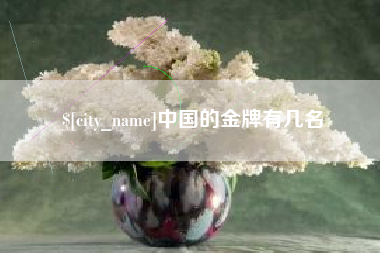 恩施中国的金牌有几名