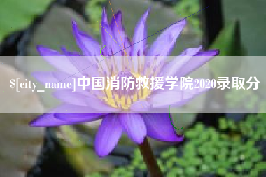 恩施中国消防救援学院2020录取分