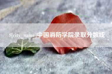 恩施中国消防学院录取分数线