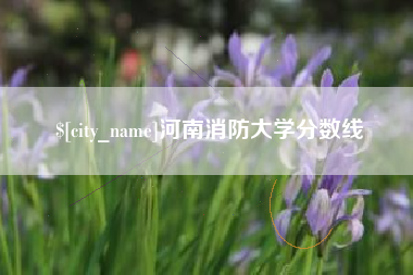 恩施河南消防大学分数线