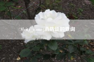 恩施消防证的查询