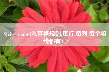 恩施九宫格规则,每行,每列,每个粗线都有1-9